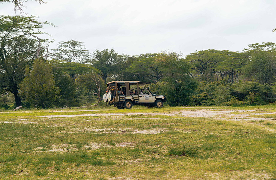 Attwood Safari Tours